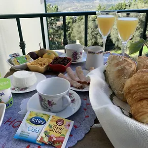 Alojamento de Acomodação e Pequeno-almoço Deluxe Com Terraço E Varanda Privada - 'casinha Da Amoreira'